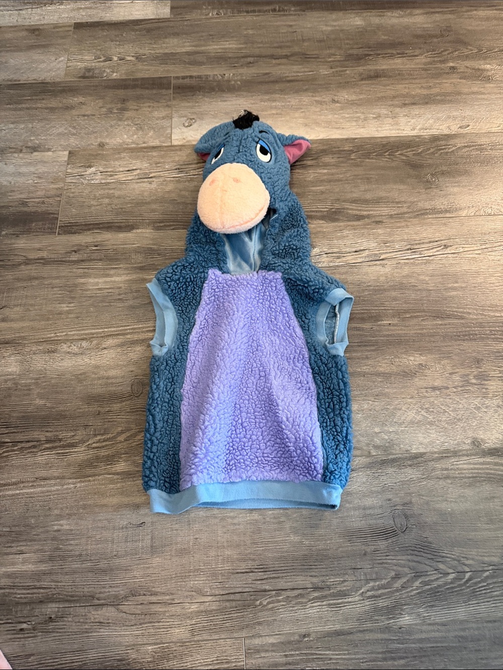 Disney Winnie the Pooh Plush Costume Blue Pink Purple